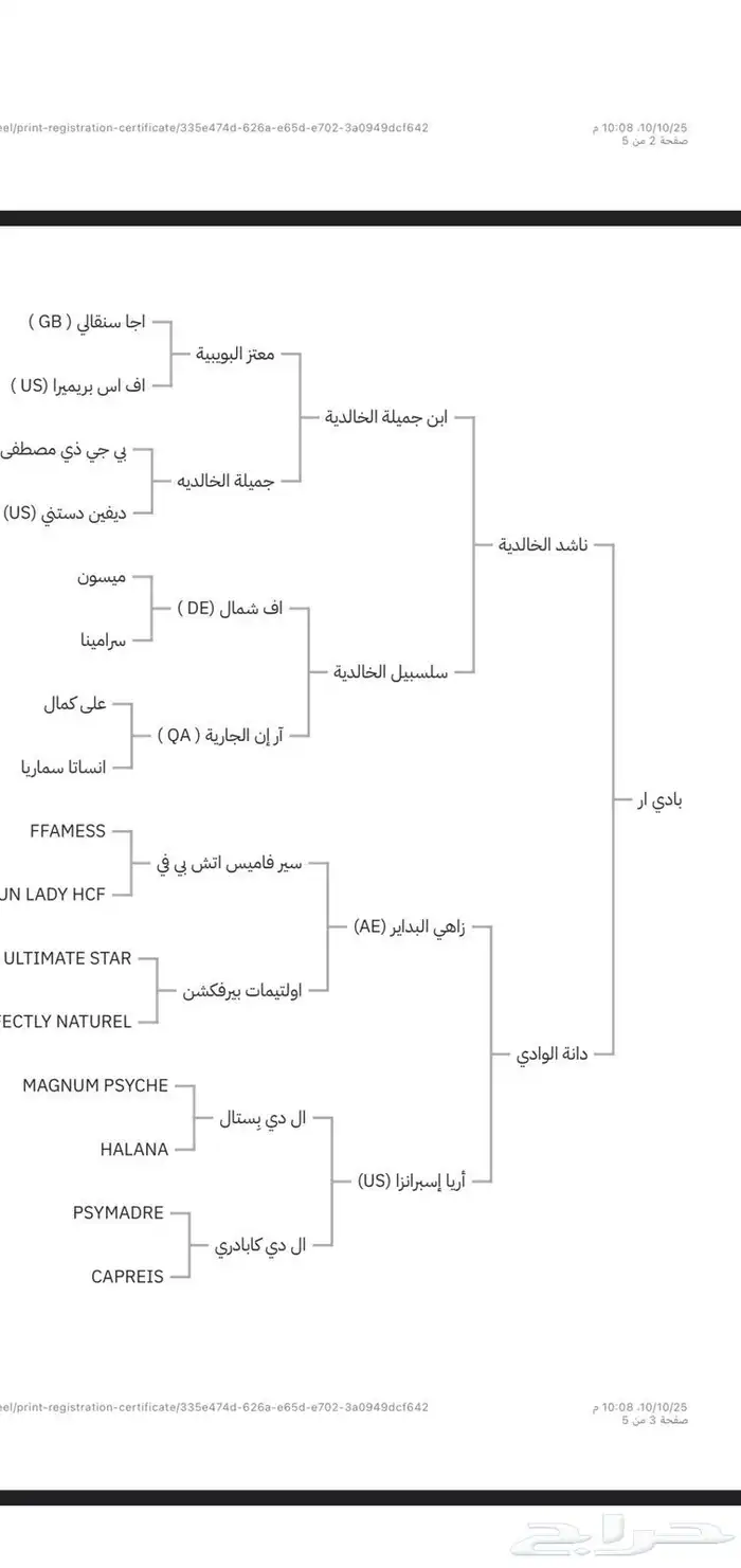 حصان واهو شيخ 1