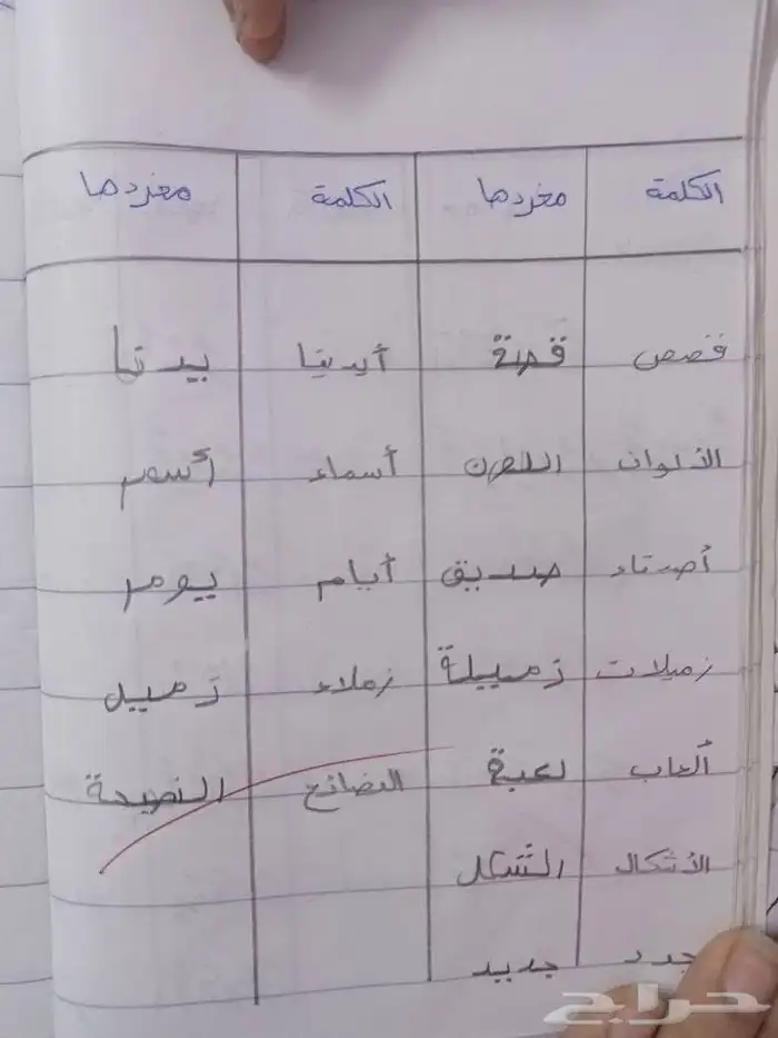 مدرسه خصوصيه ف خميس مشيط 13