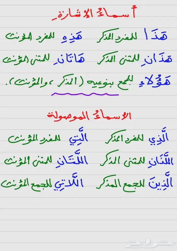 معلم تأسيس ومتابعة لجميع المواد للمرحلة الابتدائية والمتوسطة 1