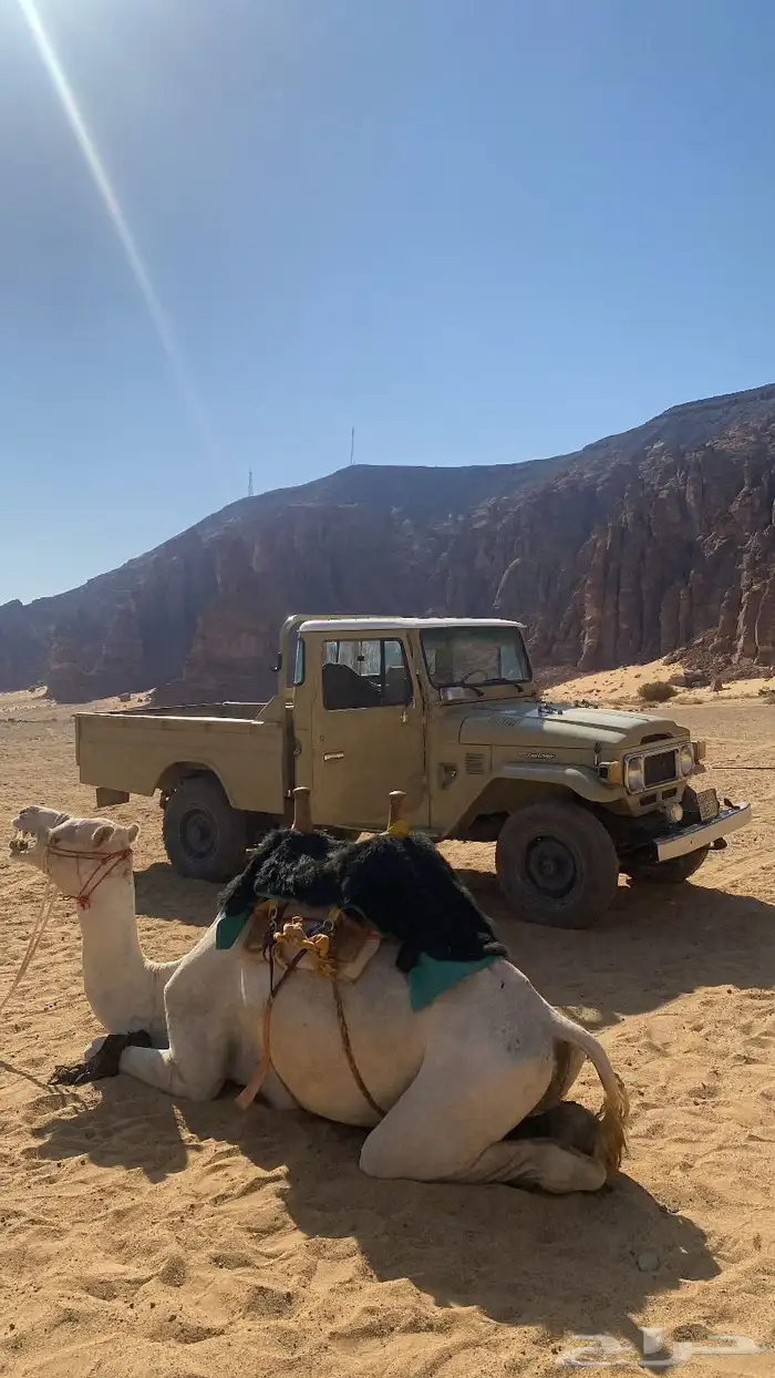 جمل من سحيمات 2