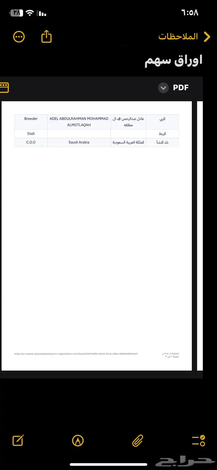 حصان عربي جزيري خصي حار 7