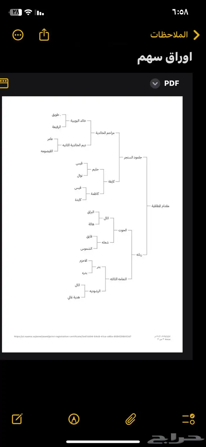 حصان عربي جزيري خصي حار 8