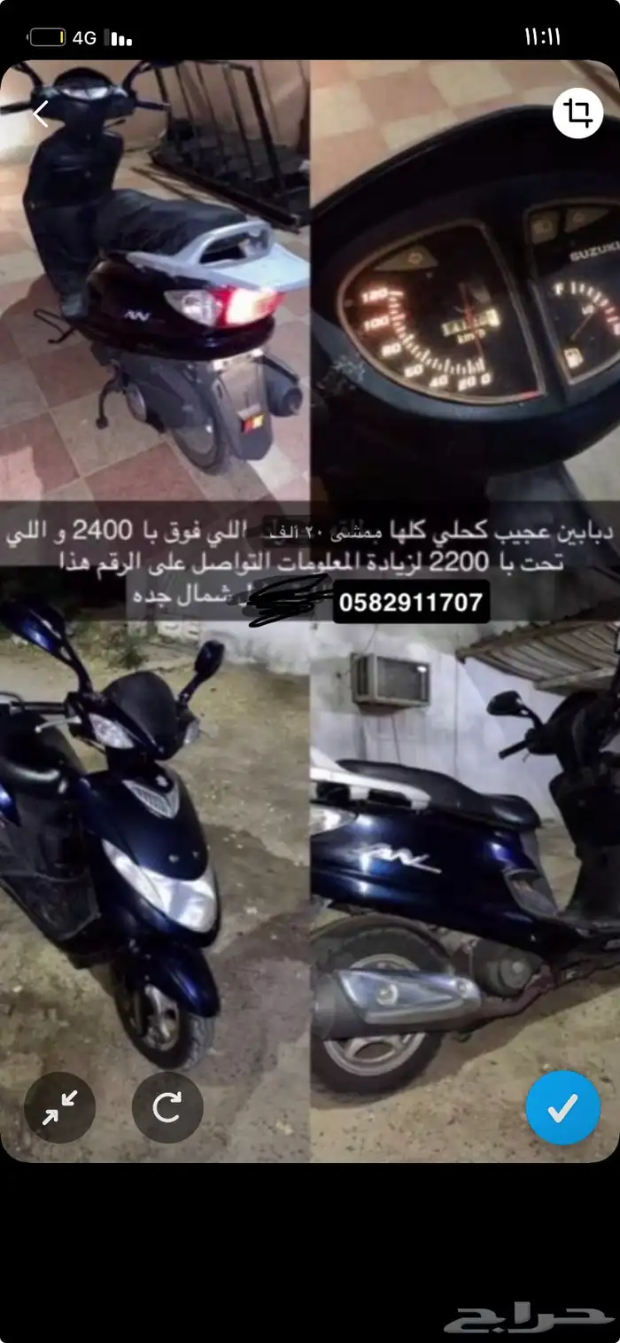 دبابين عجيب كحلي بدون اوراق 0