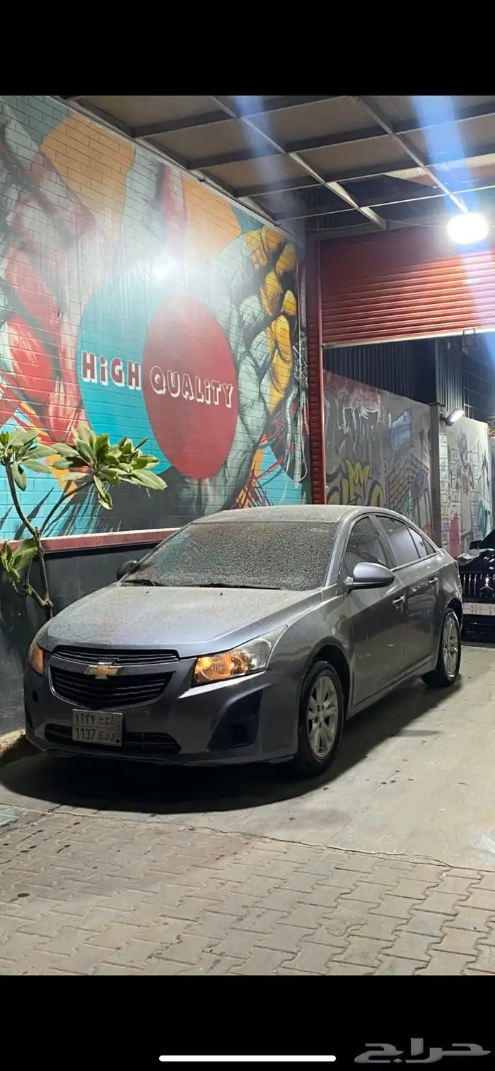 شفر كروز 1