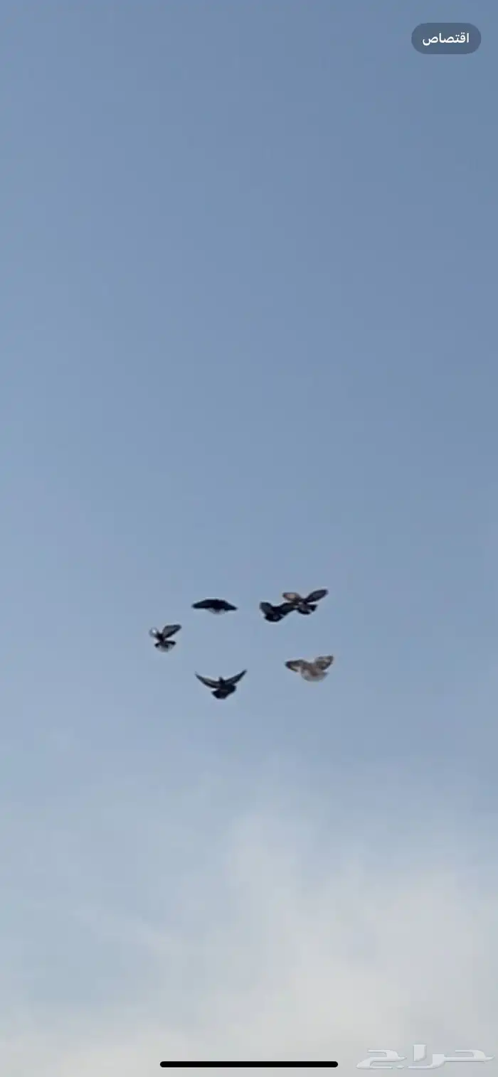 حمام أوكرانيا 1