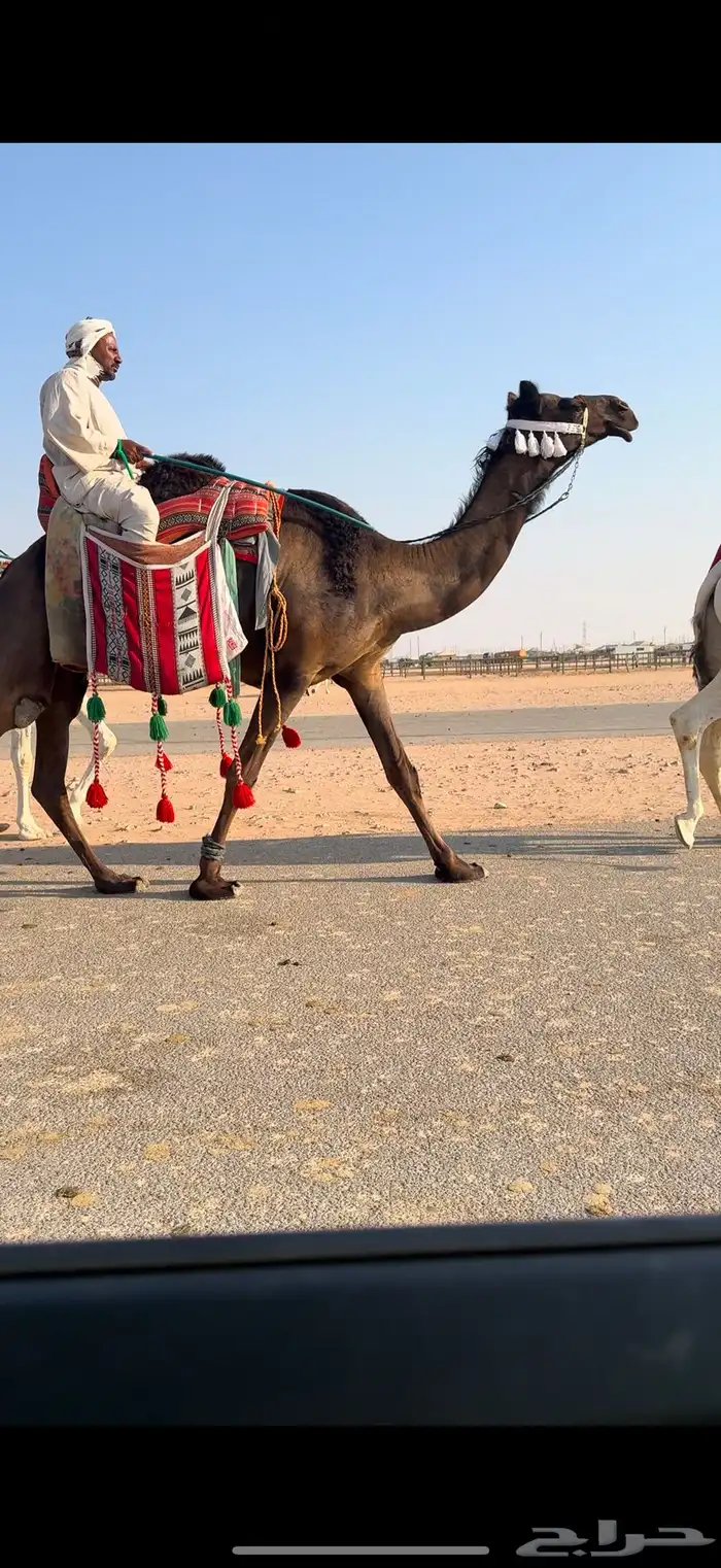 رحوا البيع 1