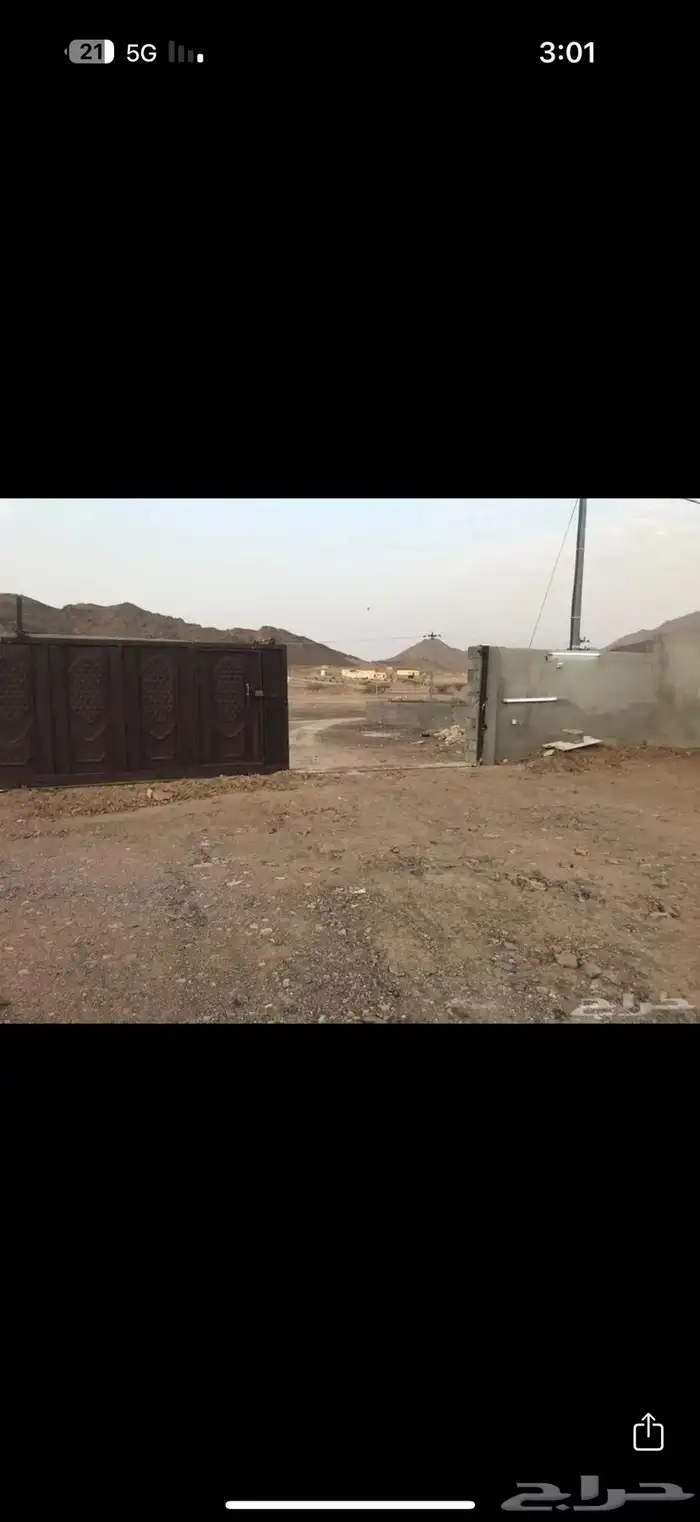 حمام للبيع 1