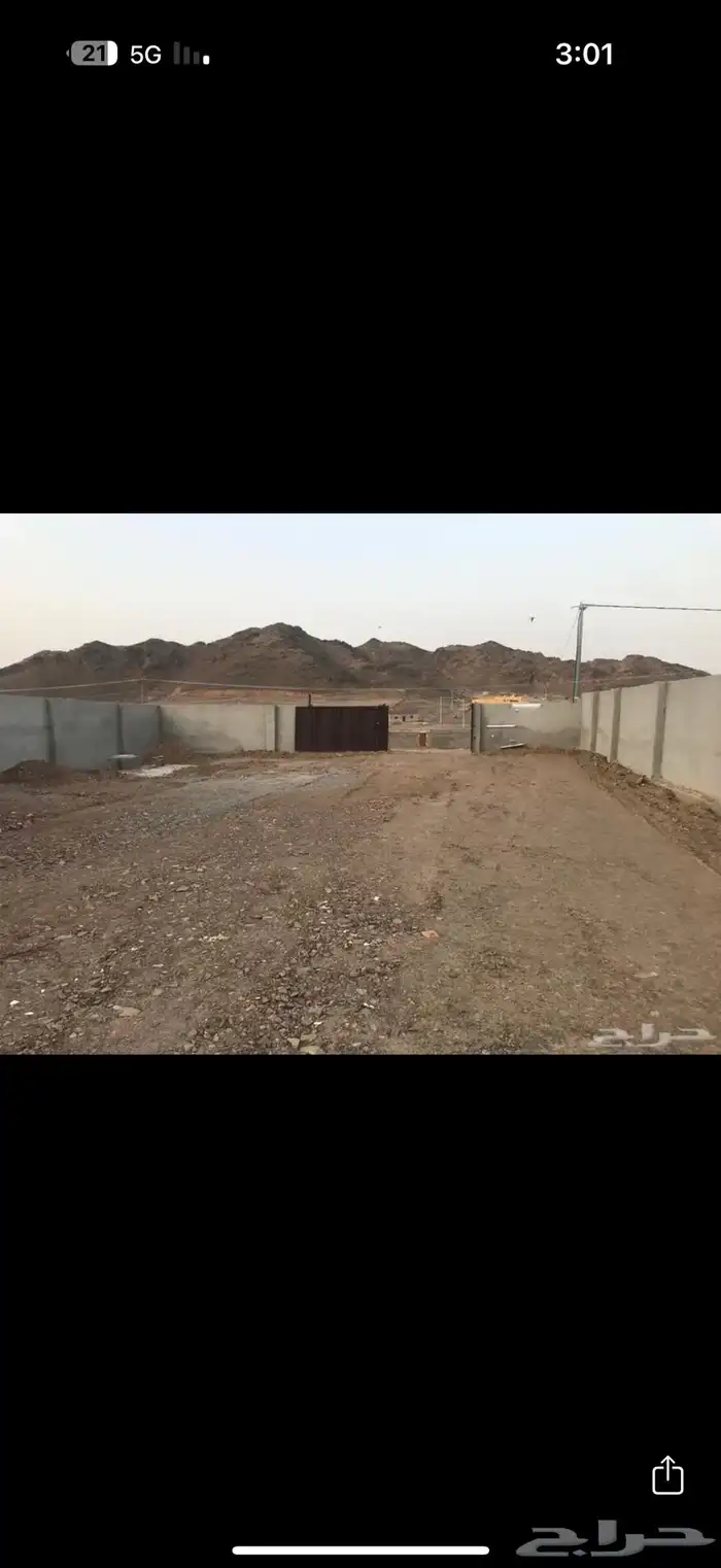 حمام للبيع 0