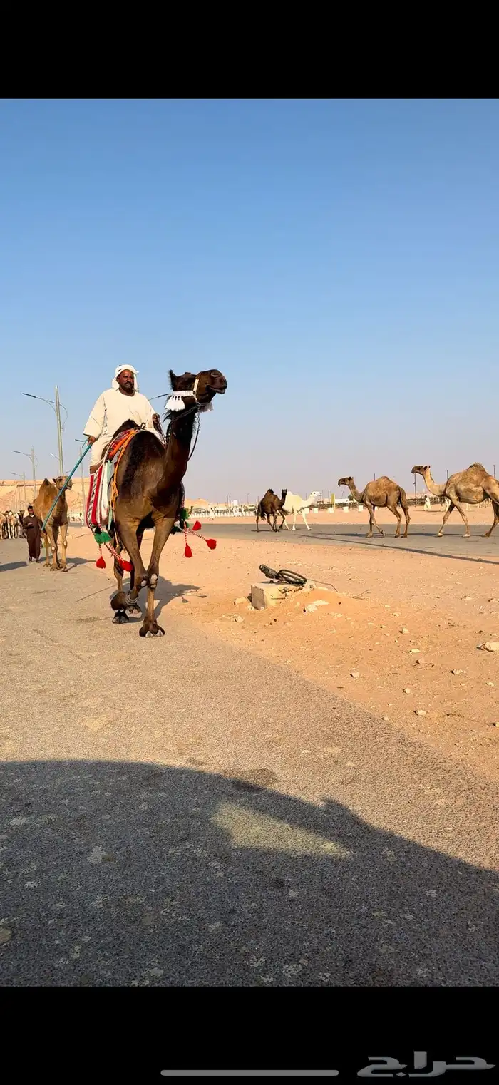 رحوا البيع 0