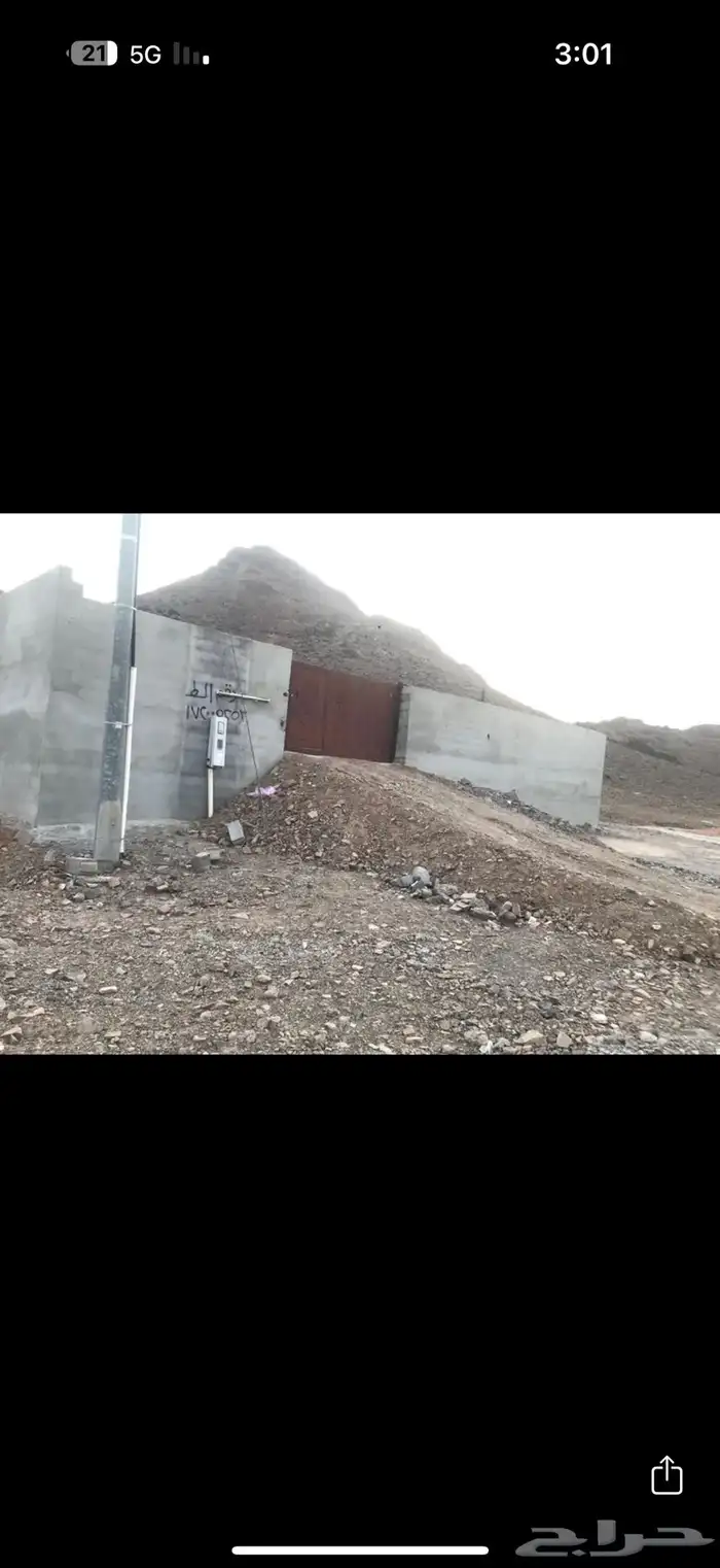 حمام للبيع 3