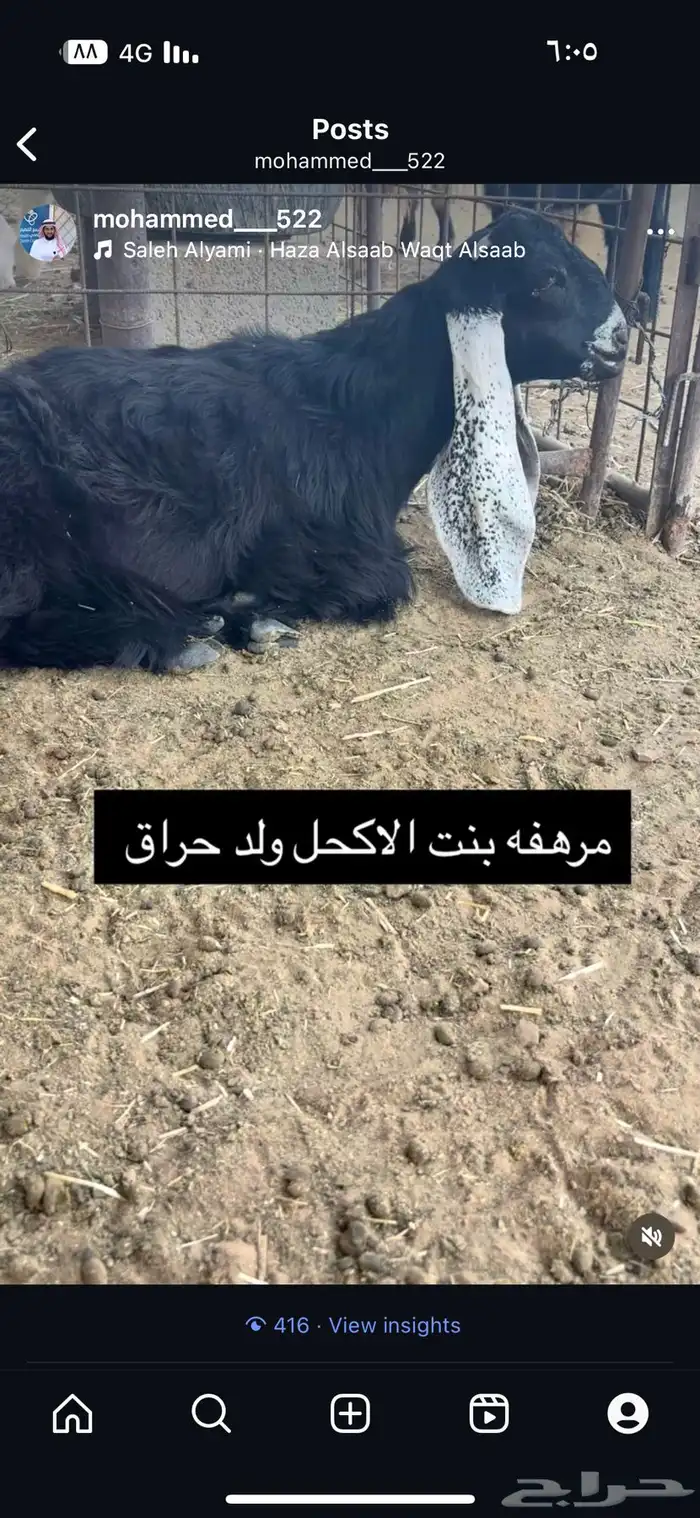 تيس عارضي كفو معرف منتج 5