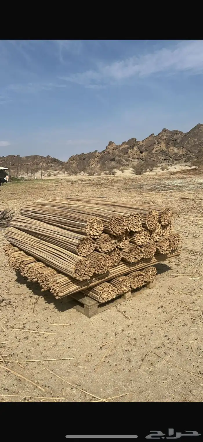 جرد سعف النخيل 0