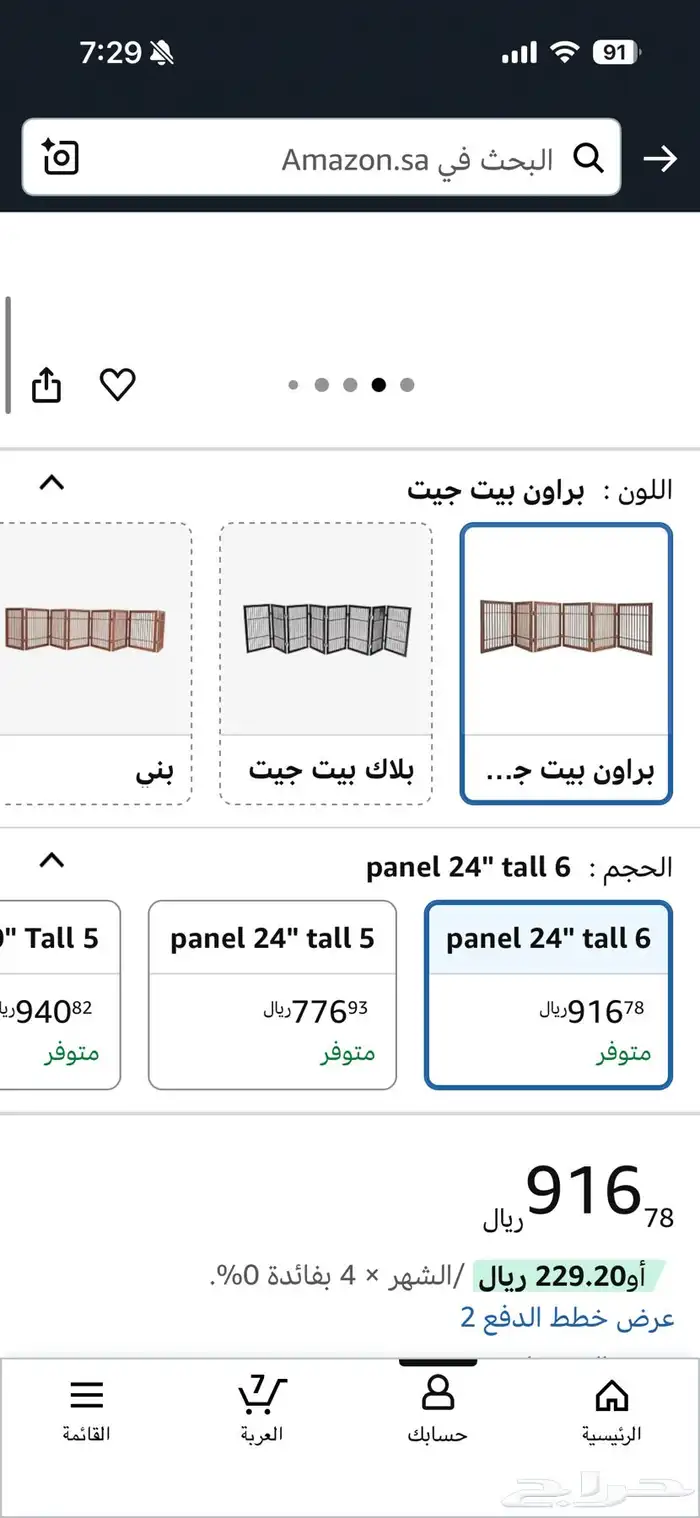 قطط كيتن للبيع 8