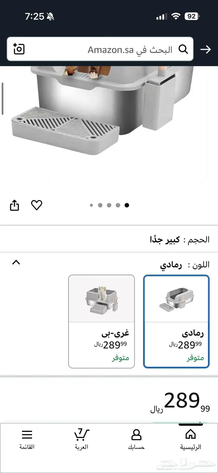 قطط كيتن للبيع 6
