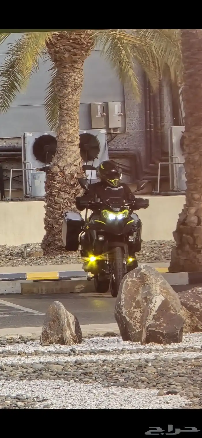 بينيلي 2024 702x للبيع 6