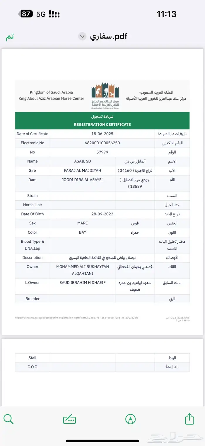 فرس واهو 8