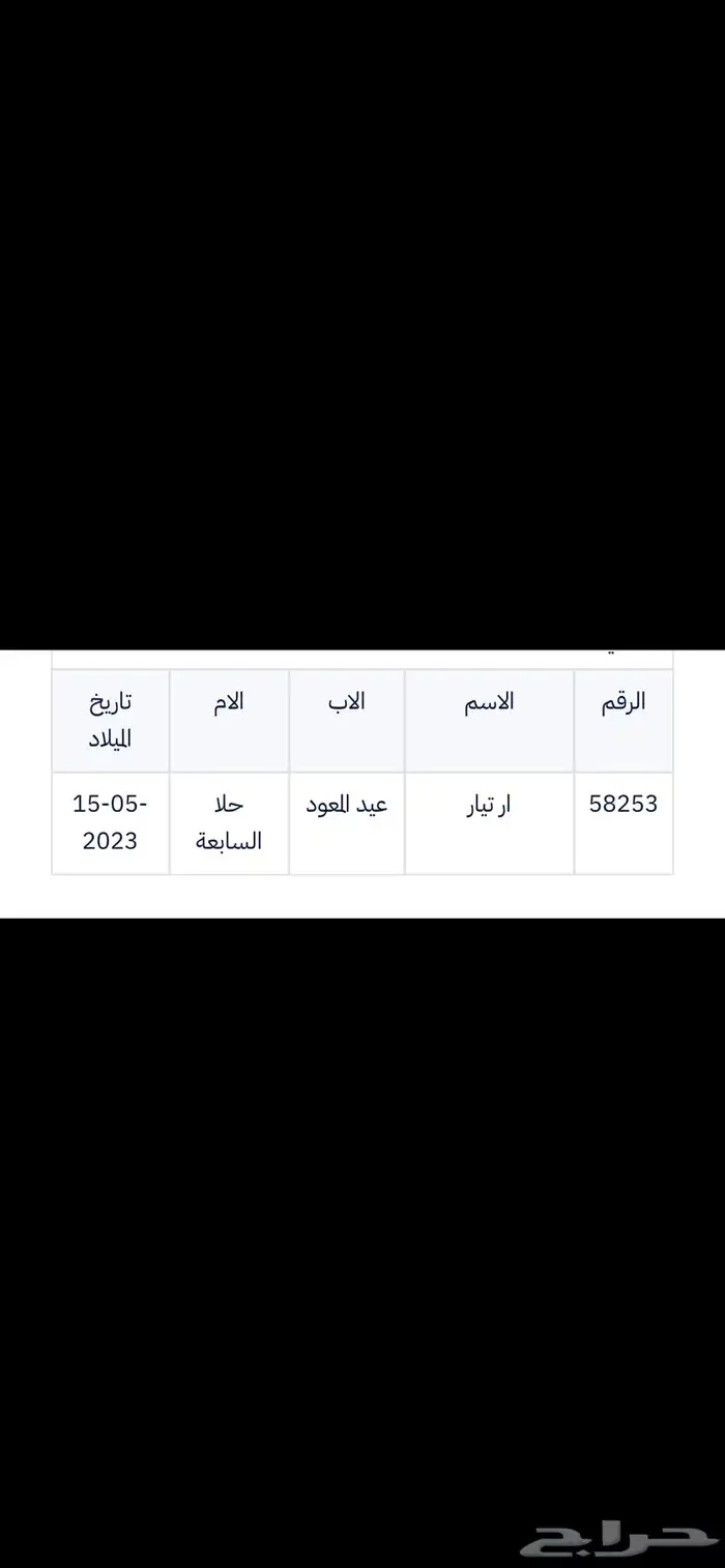 حصان واهو بطل جمال 0
