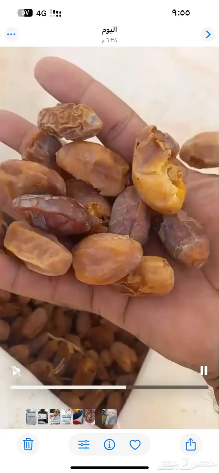 تمر نفيع للحلال 0