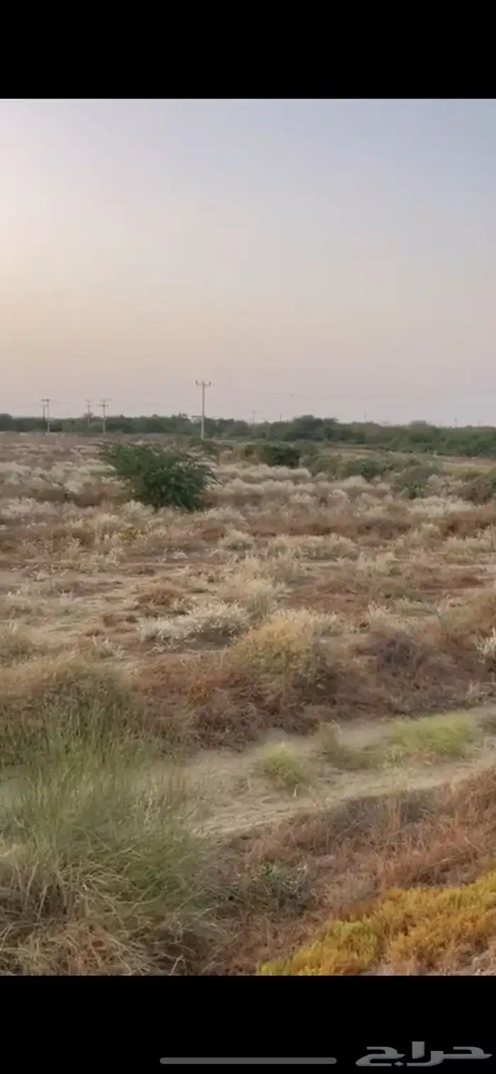 ارض للبيع مزرعة 0