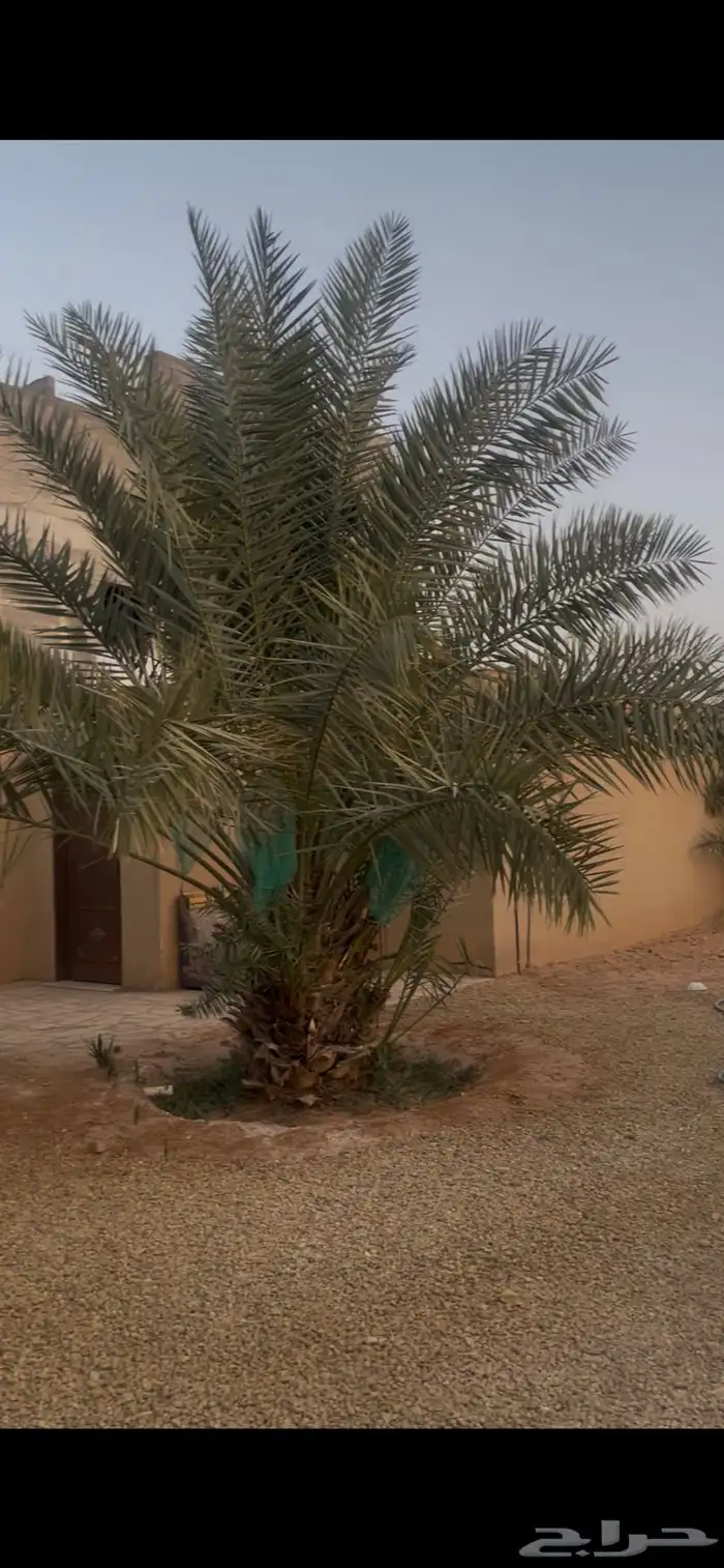 استراحه للبيع. حرمه الروضه 3