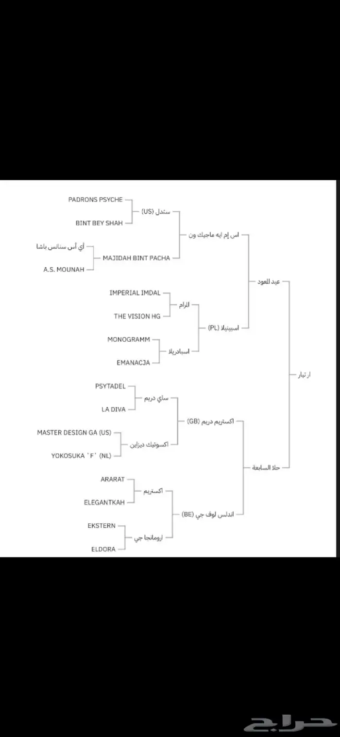 حصان واهو بطل جمال 1