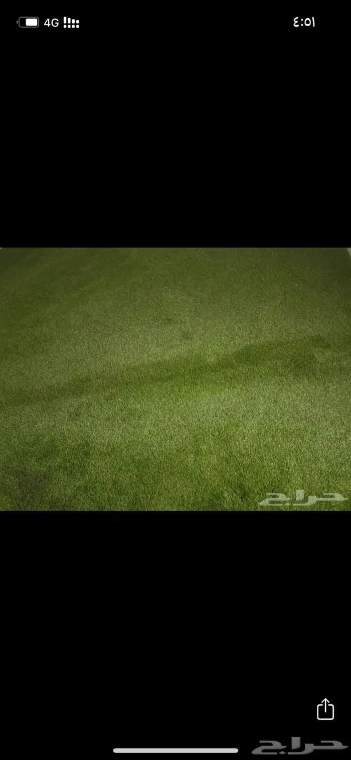 عشب صناعي نجيلة 0