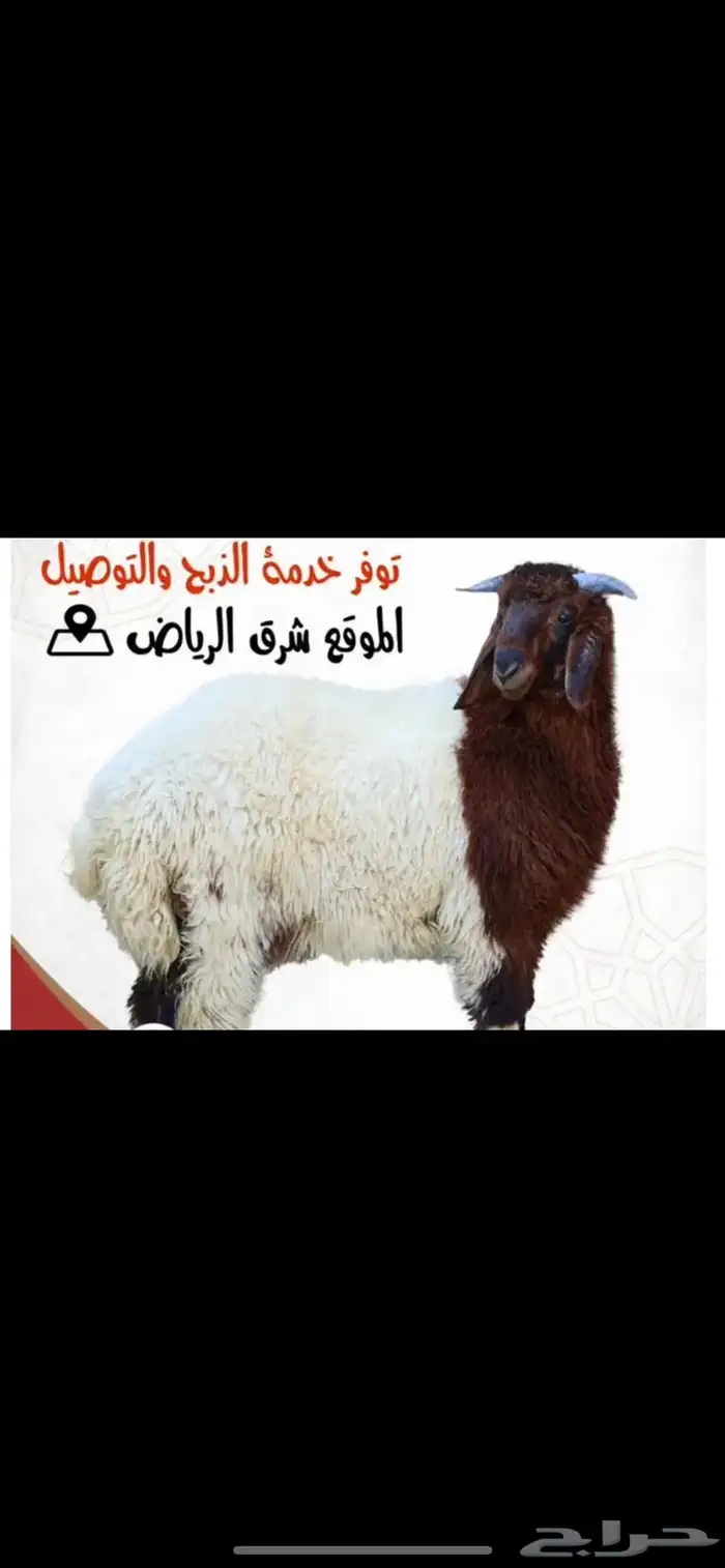 ذبايح نعيم نجدي سواكن شامل خدمه ذبح وتوصيل 7