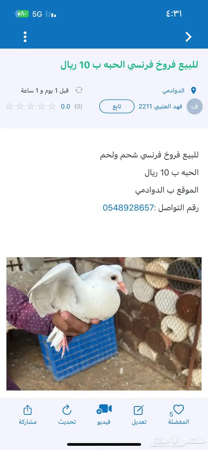 للبيع فروخ فرنسي الحبه ب 10ريال ب الدوادمي 0