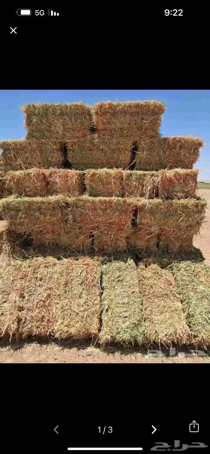 ذره جيزانيه للبيع 0