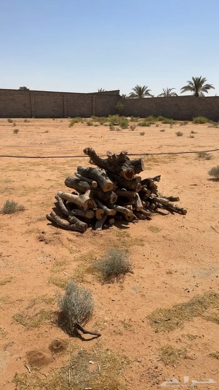 حح طط بب للبيع 1