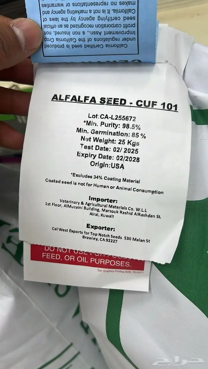 برسيم (alfalfa) 1