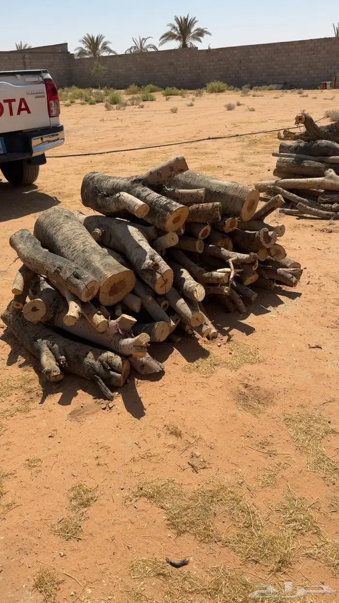 حح طط بب للبيع 0