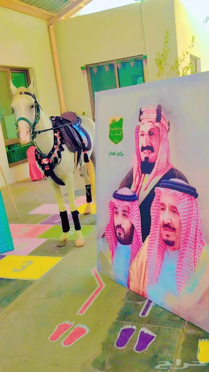 اجار جمال رحول وخيل عربية اصيلة 5