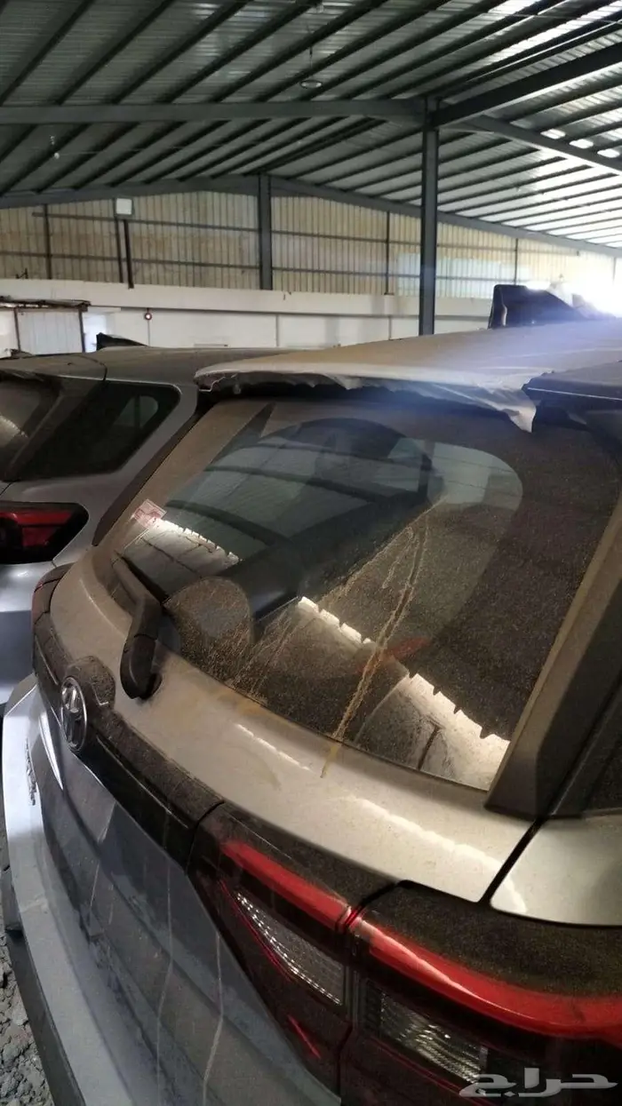 رايز ليمتد فل كامل كاش و اقساط علي جميع البنوك 0