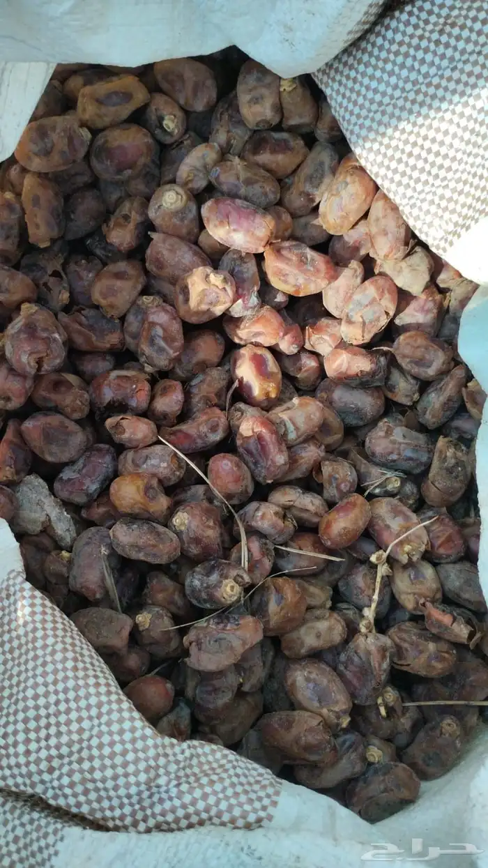 تمر علف 120 كيس 1