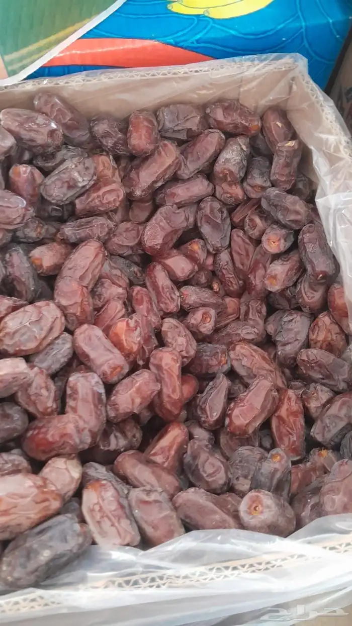 تمر خضري للبيع 1