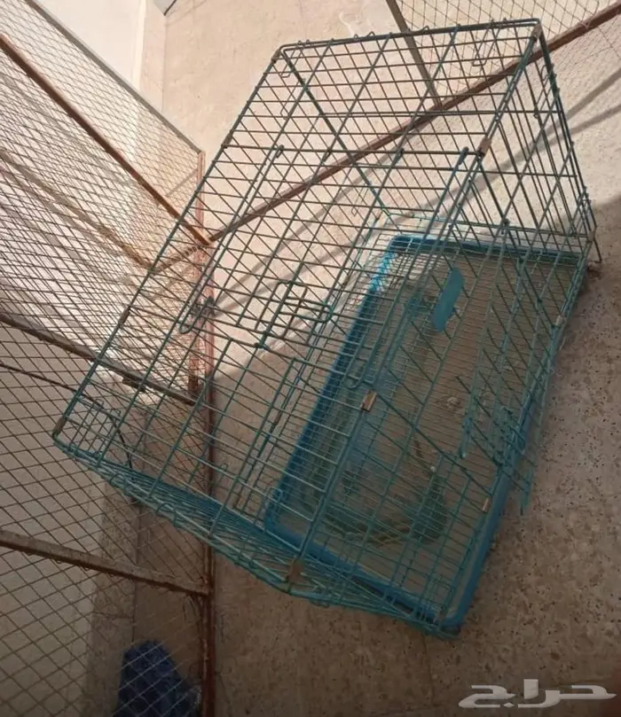 قفص كلاب كبير جداا 1