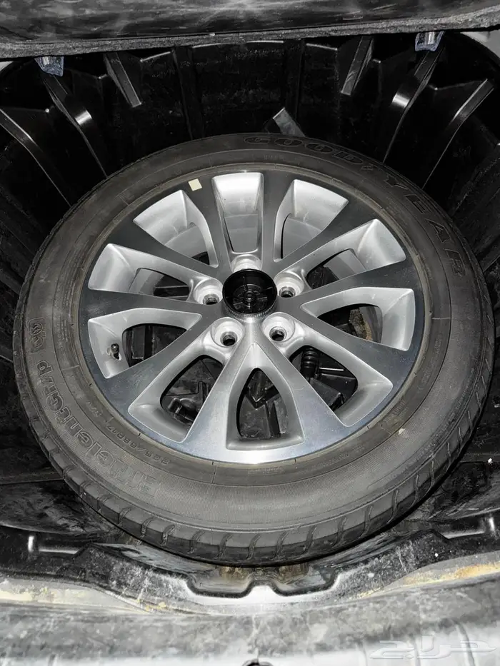 كابرس 2012 8v 14