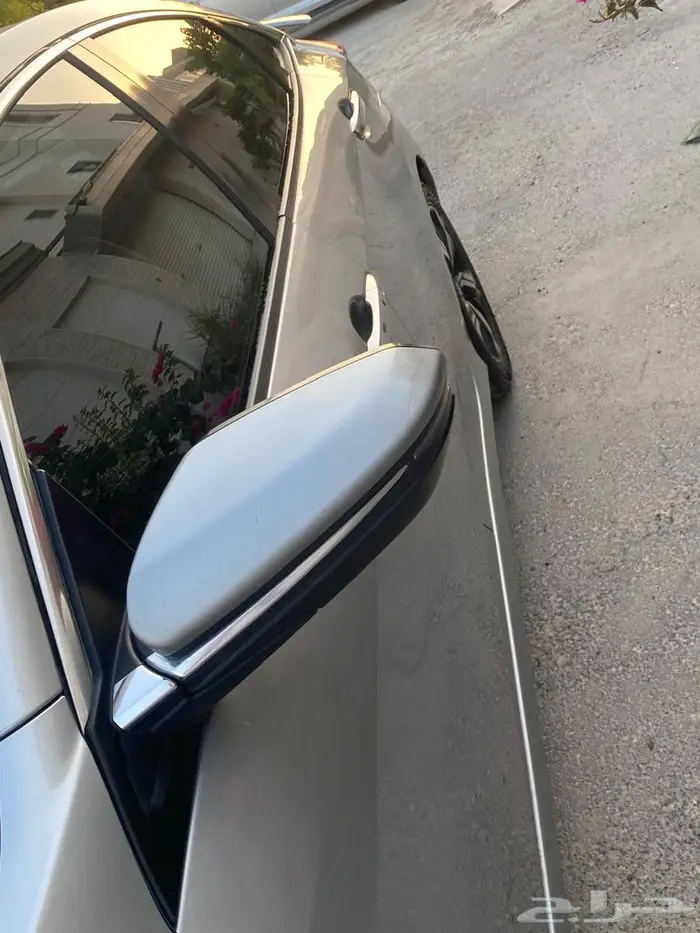 القطيف 17