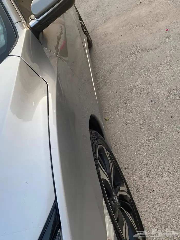 القطيف 18
