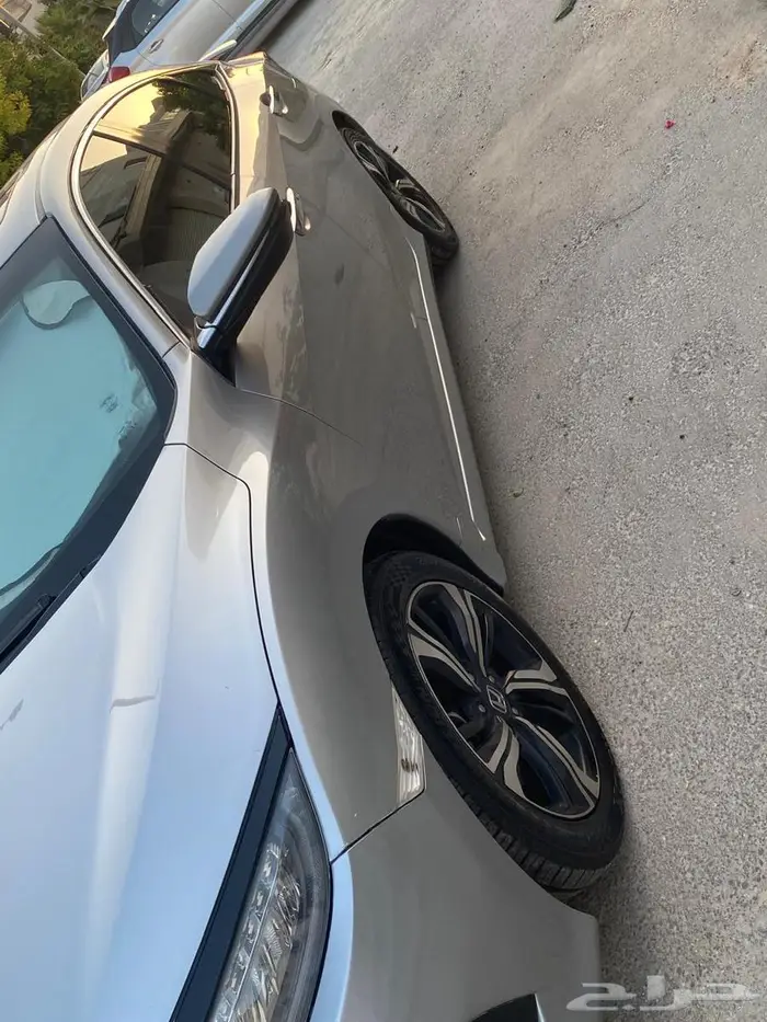 القطيف 23