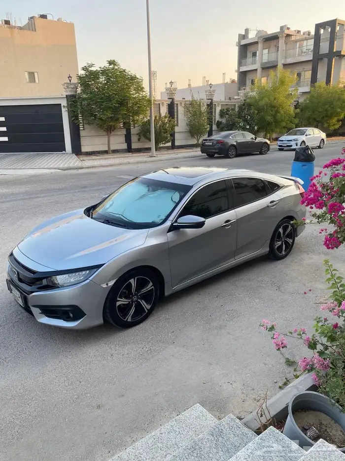القطيف 0