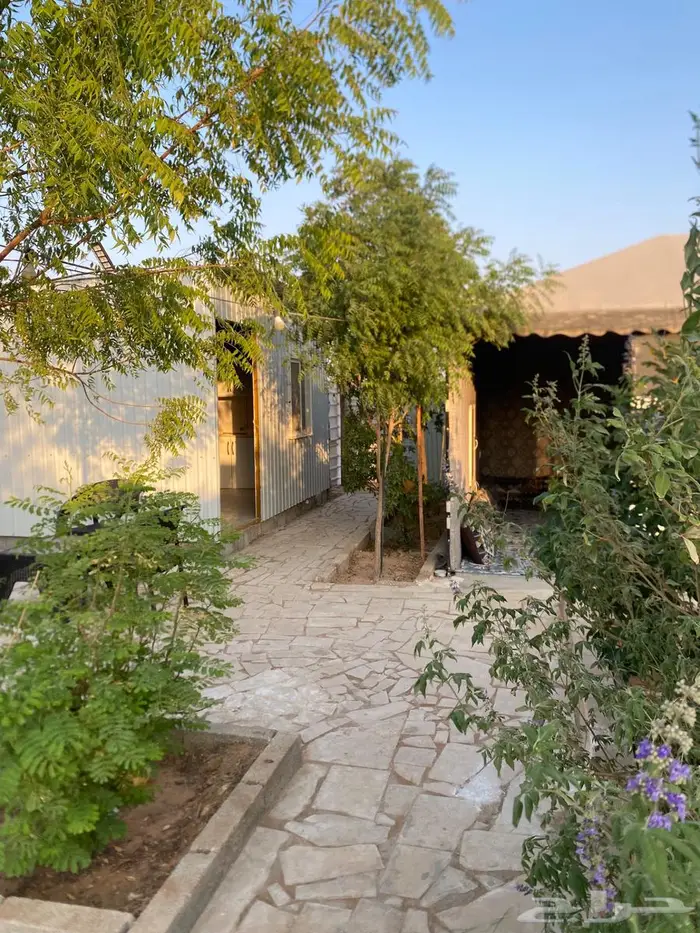 اسطبل للإيجار اليومي الرياض طريق رماح خلف محطة صحاري 4