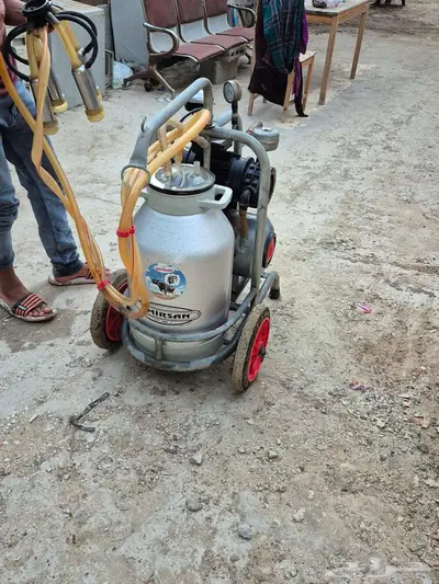 حلابه بقر تركيه index