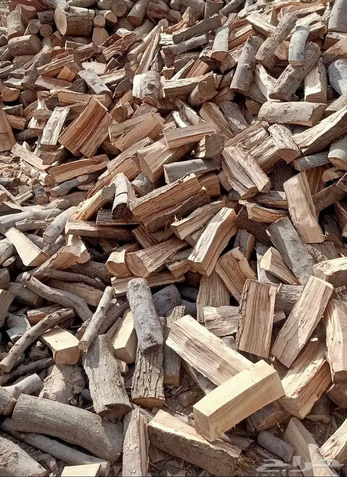 حطب زيتون افريقى 3