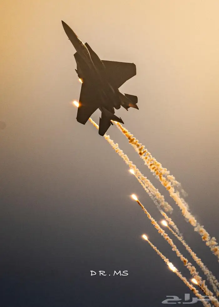 كاميرا نيكون Nikon Z50II 1