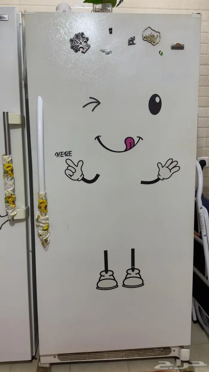 ثلاجة مع فريزر 1