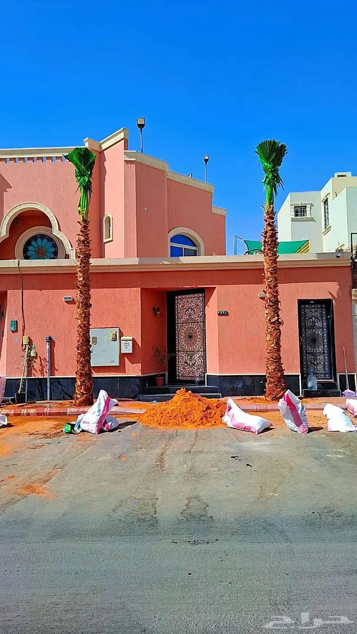 نخيل وأشجار جميع المقاسات 5
