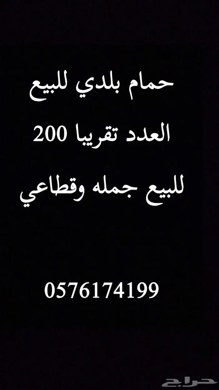 حمام بلدي للبيع 0