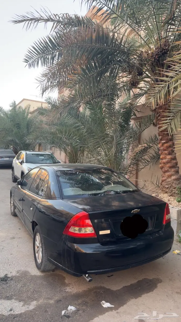 لومينا 2006 1